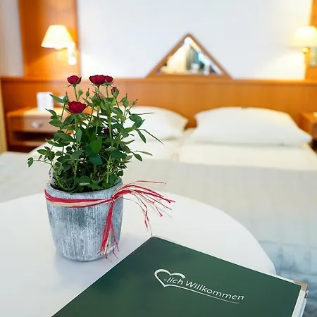 Guest house Besser 3*