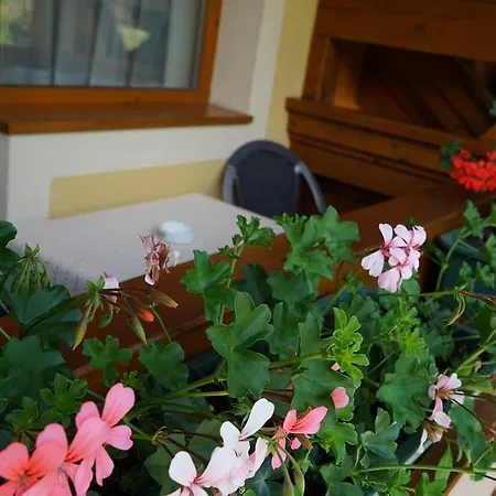 Besser Guest house